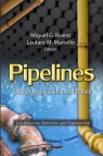 Pipelines : Design, Applications and Safety [ 1621001784 / 9781621001782 ]